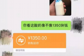 巴青要账公司更多成功案例详情